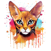 Bunte Spritzkunst-Abessinerkatze