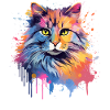 American Bobtail Cat Face