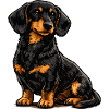 Dackel Hund Haustier