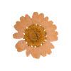Enfant Fleur