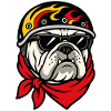 Bulldog-Motorradhelm im Rebellen-Stil