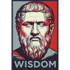 Wisdom Portrait Pop Art