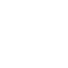 Violon André