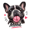 Ambiance Bouledogue Français Drôle