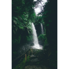 Cascade in the Green Jungle