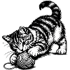 Playful Kitten and Yarn