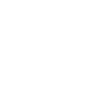 Lyon