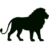 Leo lion
