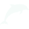 Silhouette de dauphin lumineux