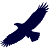 Aigle