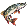 jumping pike