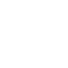 Foxterrier Black Edition"