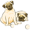 Duos of pugs player and dreamer