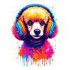 Poodle with headphones