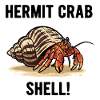Bernard-l'ermite Shell Hermit Crab