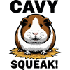 Cochon d'Inde Cavy Squeak Guinea Pig