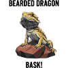 Agame Bearded Lizard Bask Bearded Dragon
