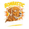 Bombastic Side Eye Dog