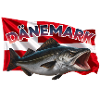 Denmark Charcoal Fishing