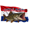 Pike Fishing Holland - Polder Fishing