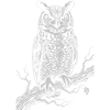 Owl Silhouette on Moonlit Branch