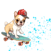 Skateboard Bulldog with Cap