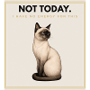 NOT TODAY Sarcastic Cat Design