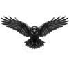 Raven - Lève-tard,