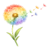 Rainbow Dandelion