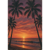 Sunset on the palm beach