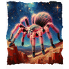 Chile Tarantula Starry Night