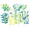 Water-coloured leaf branches