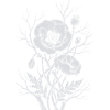 Mohnblumen
