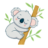 Sleeper koala on a branch