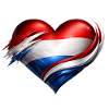 Netherlands Holand Heart Flag Flag