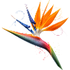 Paradiesvogelblume Exotisches Florales Design