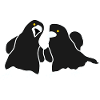 Minimalist Raven Duo