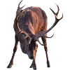 Cerf avec des bois voûté