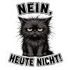Nein Heute Nacht Katziger Grummel