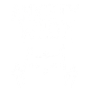 Anxiety Who Cat