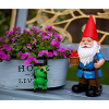 Garden Gnome and Frog Motif