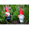 Gartenwichtel im Blumengarten