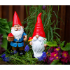 Garden Gnome with Red Hats