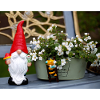 Garden gnome in flower pot