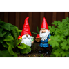 Garden Gnome Delight
