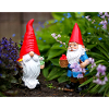 Garden Gnome Red Cap Scene