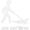 exe ausführen