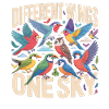 Different Wings One Sky Vogel