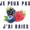 je peux pas jai baies