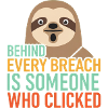 Behind Every Breach Sloth IT Security